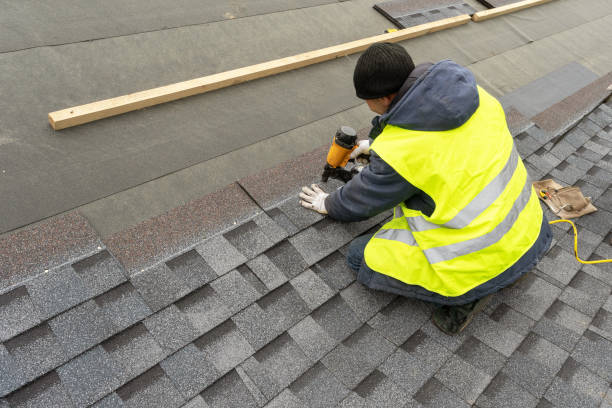 Best Roof Gutter Cleaning  in Osawatomie, KS