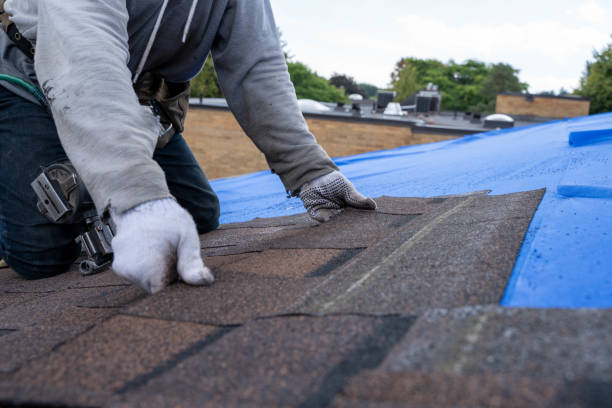 Best Roof Gutter Cleaning  in Osawatomie, KS