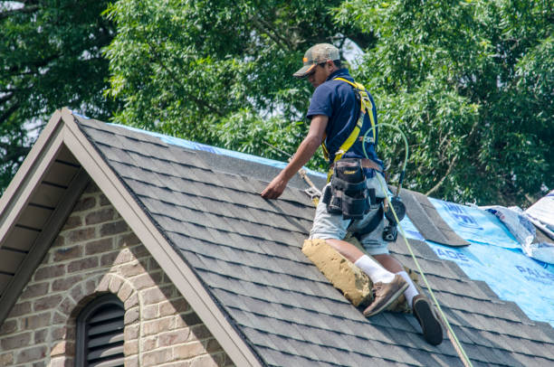 Best Flat Roof Repair Services  in Osawatomie, KS